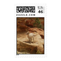 Curious... postage