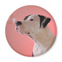 Curious pup fridge magnet