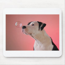 Curious pup mouse pads