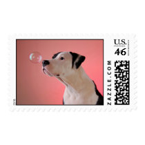 Curious pup stamps