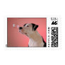 Curious pup stamps