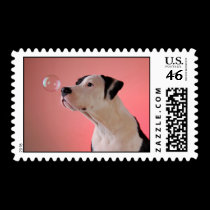 Curious pup stamps