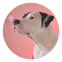 Curious pup round stickers