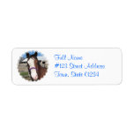 Curious Quarter Horse Mailing Label