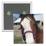 Curious Quarter Horse Square Pin
