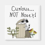 Curious Raccoon Magnets
