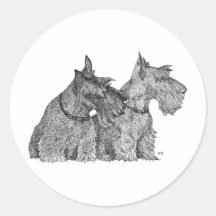 Curious Scottish Terriers Pen & Ink Sketch Sticker