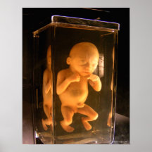 Curious Specimen (color) - Fine Art Print