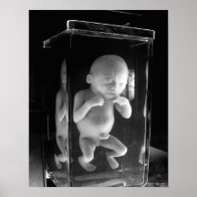 Curious Specimen - Fine Art Print