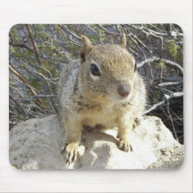 Curious Squirrel Mousepad