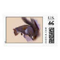 Curious Squirrel postage