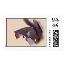 Curious Squirrel postage by sundero Curious Squirrel postage
