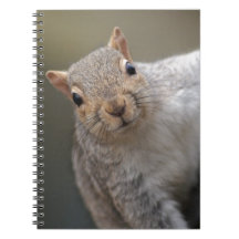 Curious Squirrel Spiral Notebook