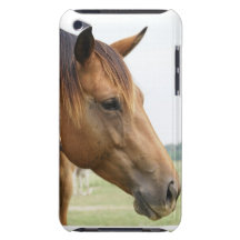 Curious Thoroughbred  iTouch Case iPod Case-Mate Case