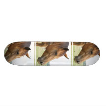 Curious Thoroughbred Skateboard