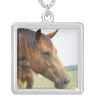 Curious Thoroughbred Sterling Silver Necklace necklace