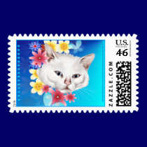 Curious white kitty Postage stamps