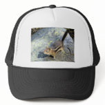 Curious Wild Chipmunk Photo Hat