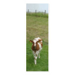 Curious Young Cow Photo Bookmark Gift Business Card Templates
