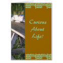 CuriousAbout Life? cards