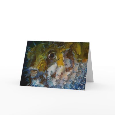 curiousity of the moonfish(card) by nefera