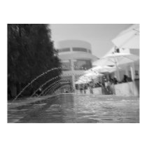 Curiously Serene2 posters by insightful Curiously Serene2 posters