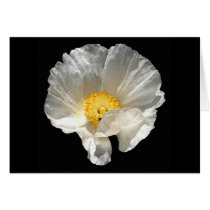 Curled Flower Cards