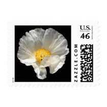 Curled Flower Stamps