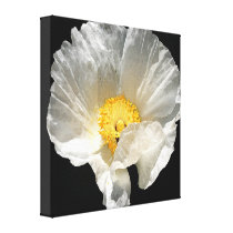Curled Flower Wrapped Canvas