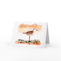 curlew sandpiper cards by afumeeha curlew sandpiper cards
