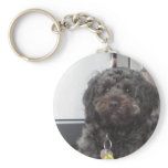 CURLEY KEY CHAIN