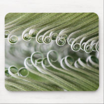 Curling Palms mousepads