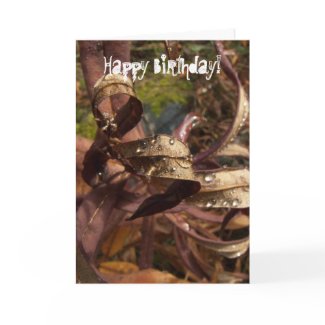 Curls and Jewels; Happy Birthday