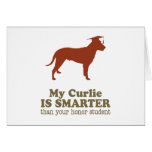 Curly-Coated Retriever