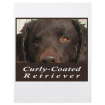 Curly-Coated Retriever flyers