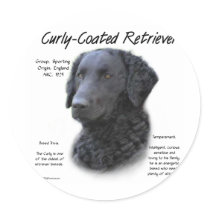 Curly-Coated Retriever History Design Sticker