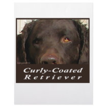 Curly-Coated Retriever Letterhead Template