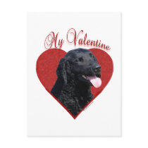 Curly-Coated Retriever My Valentine postcards by GreyWolfCreation Curly-Coated Retriever My Valentine postcards