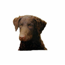 Curly coated retriever ornament photo sculptures