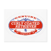 Curly Coated Retriever postcards by GenuineDogOwner Curly Coated Retriever postcards