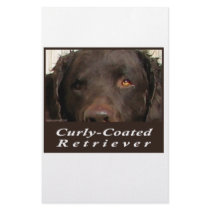 Curly-Coated Retriever Stationery