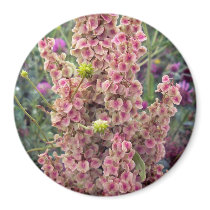 Curly Dock 1 Magnet