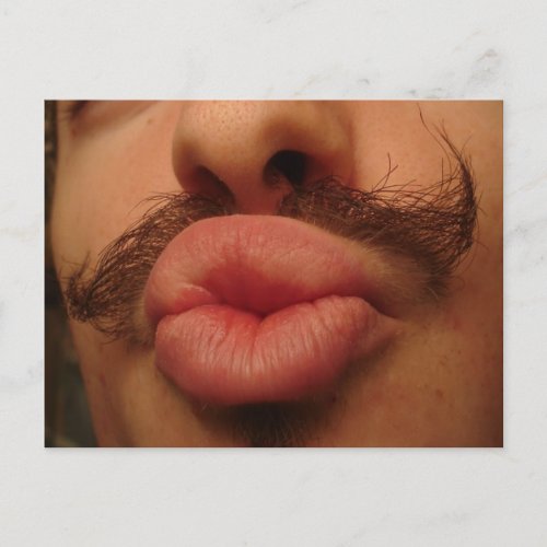 Curly Moustache Smooches Postcard postcard