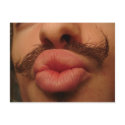 Curly Moustache Smooches Postcard by segrid Curly Moustache Smooches Postcard