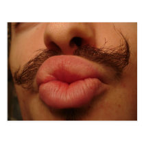 Curly Moustache Smooches Postcard postcards