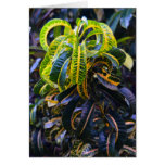 Curly Tropical Plant Card