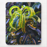 Curly Tropical Plant Mousepad
