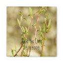 Curly Willow Save the Date magnets by littlewingdesign Curly Willow Save the Date magnets