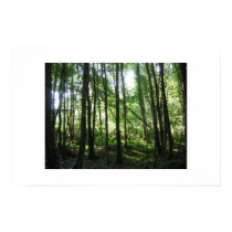 Curragh Chase posters