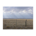 Curtain of Light postcards